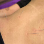 036841fe-67c4-43e3-9fb8-f7686d110ee4